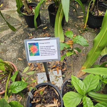 Nehrling Gardens - Botanical Gardens Near Me - Gotha, Florida