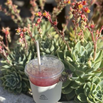 Moonphaze - Blueberry Hibiscus Sparkler - Coffee & Tea Near Me - Agoura Hills, California Moonphaze - Blueberry Hibiscus Sparkler - Coffee & Tea Near Me - Agoura Hills, California