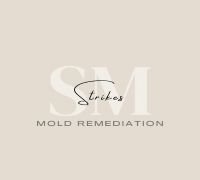 Strikes Mold Remediation - mold inspector in Mesa, AZ