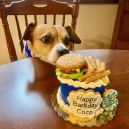 a dog with a birthday cake a dog with a birthday cake