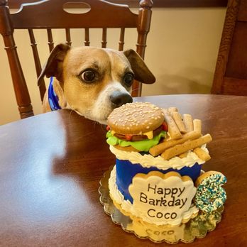 A Barkery Unleashed - a dog with a birthday cake - Pet Services Near Me - Marysville, Washington A Barkery Unleashed - a dog with a birthday cake - Pet Services Near Me - Marysville, Washington