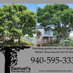 Samuel's Tree Service - Before and After Tree Trimming Denton