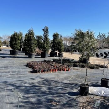 Magnolia Landscape Supply - Nurseries & Gardening Near Me - Summerdale, Alabama Magnolia Landscape Supply - Nurseries & Gardening Near Me - Summerdale, Alabama