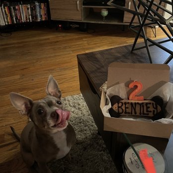 Three Dog Bakery - Pet Stores Near Me - Denver, Colorado Three Dog Bakery - Pet Stores Near Me - Denver, Colorado