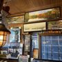 The Stadium Gallery
