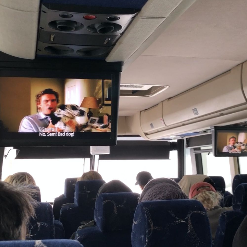 Tahoe Ski Trips - Watch movies or sleep on the drive back to SF Bay Area - Ski Resorts Near Me - Pacheco, California Tahoe Ski Trips - Watch movies or sleep on the drive back to SF Bay Area - Ski Resorts Near Me - Pacheco, California