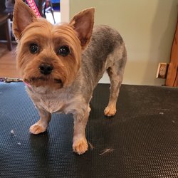 Park & Bark Pet Grooming