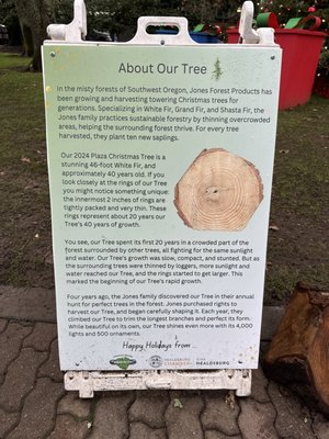 Healdsburg Plaza by null