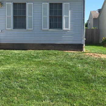 Excellent Arborist Tree Company - Tree Services Near Me Excellent Arborist Tree Company - Tree Services Near Me