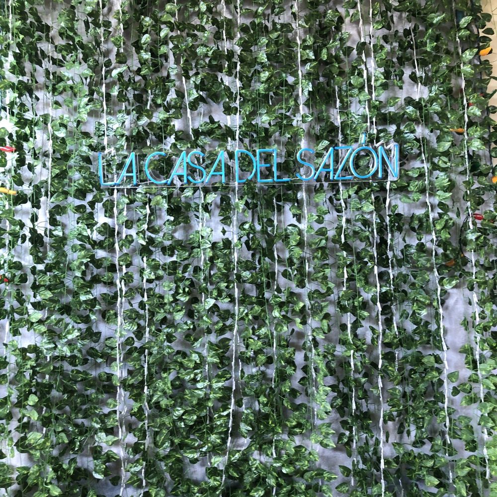 a wall of vines with the word la casa del sazon written on it