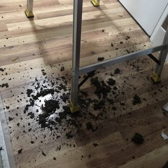 Pristine Air Conditioning & Heating Service - Bllleeehhck...what came out! - Air Duct Cleaning Near Me