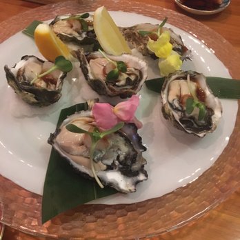 Sake Bar Icco - The fat fresh raw oysters were amazing. Scallops incredible but we ate them before I could capture their visual appeal - Sushi Bars Near Me - Morningside, AUK