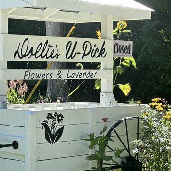 Dollie’s Farm - Front sign - Flowers & Gifts Near Me - Franklin, Indiana Dollie’s Farm - Front sign - Flowers & Gifts Near Me - Franklin, Indiana