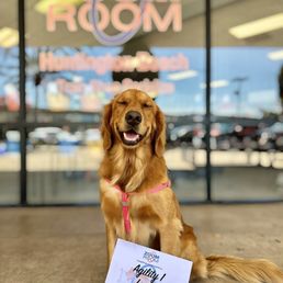 Lucy passed! Lucy passed!