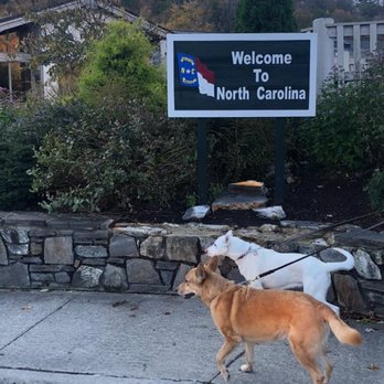 Happy Tails Travel - My pups are at their new home! - Travel Services Near Me Happy Tails Travel - My pups are at their new home! - Travel Services Near Me