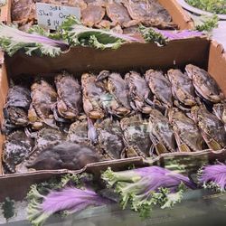 Wagshal's Market - Fresh seafood daily