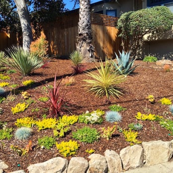 Samayoa Landscaping Berkeley - Landscaping Near Me