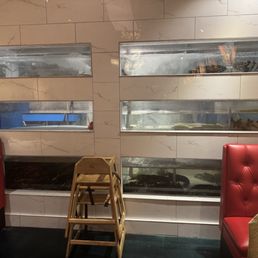 Fresh seafood in tanks Fresh seafood in tanks