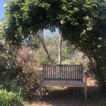 Arlington Garden in Pasadena - March 31, 2021 - Botanical Gardens Near Me - Pasadena, California Arlington Garden in Pasadena - March 31, 2021 - Botanical Gardens Near Me - Pasadena, California