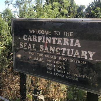 Carpinteria Seal Sanctuary - Parks Near Me - Carpinteria, California Carpinteria Seal Sanctuary - Parks Near Me - Carpinteria, California