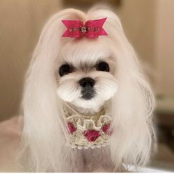 Mimo - University Heights - Peony Maltese Asian Fusion Trim