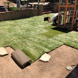 Zion Lawn Care & Maintenance - New sod.