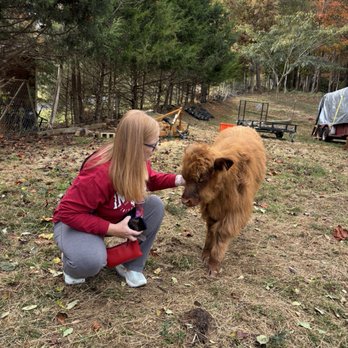 Walnut Creek Farm - Close encounters of the best kind. - Attraction Farms Near Me - Bryson City, North Carolina Walnut Creek Farm - Close encounters of the best kind. - Attraction Farms Near Me - Bryson City, North Carolina