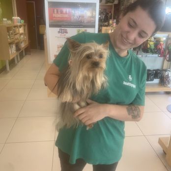 Healthy Spot - Long Beach - Pet Sitting Near Me - Long Beach, California