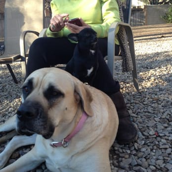 Central Dog Park - Dog Parks Near Me - Dallas, Texas