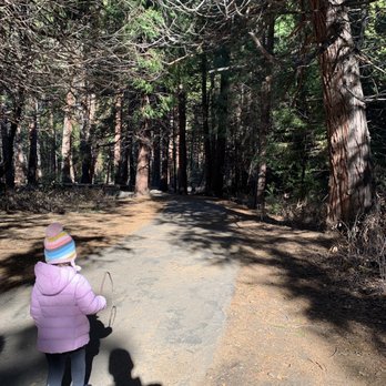 Lower Yosemite Falls - Parks Near Me Lower Yosemite Falls - Parks Near Me