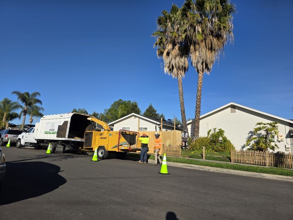 Highland Tree Care - tree service in Escondido, CA
