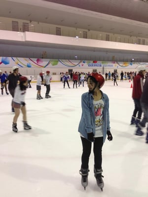 Taipei Arena Ice Land by null
