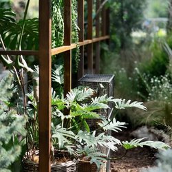 Back To The Root Landscaping and Care - Landscaping