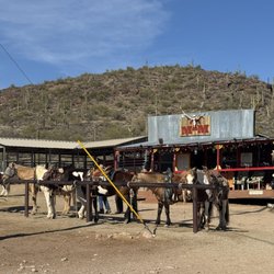 MTM Ranch Horseback Adventures