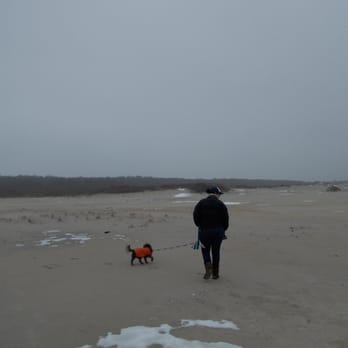 Montclair Pet Care - Dog Walkers Near Me