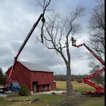 Final Grade - Tree Services Near Me - New Oxford, Pennsylvania Final Grade - Tree Services Near Me - New Oxford, Pennsylvania