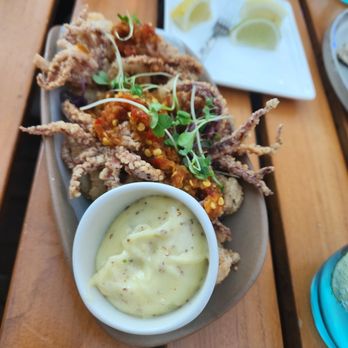 MOOR - Rock Shrimp and Calamari - Seafood Near Me - Kissimmee, Florida MOOR - Rock Shrimp and Calamari - Seafood Near Me - Kissimmee, Florida