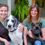 Photo of Companion Animal Wellness Center