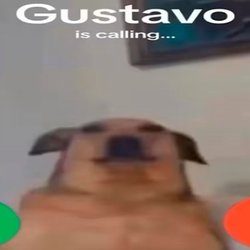 Cornerstone Learning Community - Gustavo is calling. What do you do?