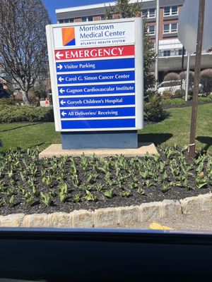 Morristown Medical Center by null