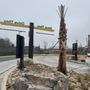 Photo of McDonald's