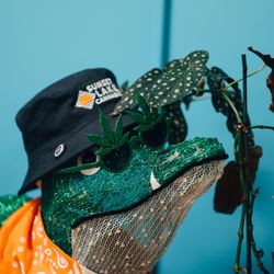Lake Effect Vermont - Holiday display featuring a light-up alligator wearing a Sunset Lake Cannabis bucket hat and cannabis leaf sunglasses.