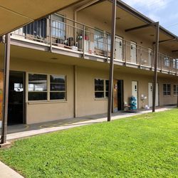 Whittier Friends School - Community-style courtyard with plenty of grass to play on.