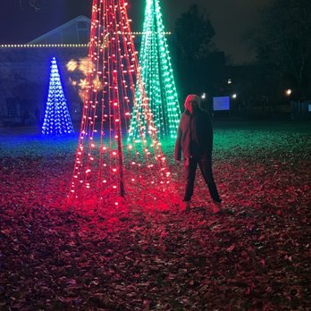 Zoo Lights at the Buffalo Zoo - Trees - Festivals Near Me - Buffalo, New York Zoo Lights at the Buffalo Zoo - Trees - Festivals Near Me - Buffalo, New York