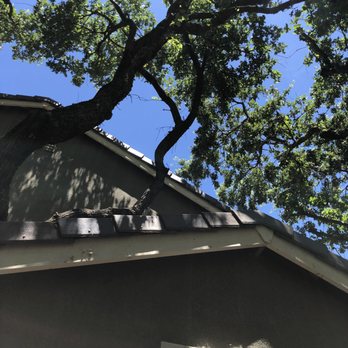 Valley Falls Tree Care - After - Tree Services Near Me Valley Falls Tree Care - After - Tree Services Near Me