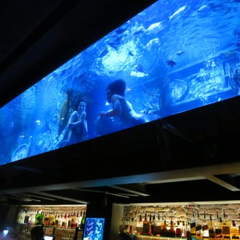 Dive Bar - aquarium right above the bar - Dive Bars Near Me - Sacramento, California Dive Bar - aquarium right above the bar - Dive Bars Near Me - Sacramento, California