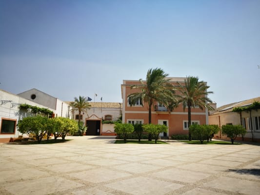 Donnafugata by null