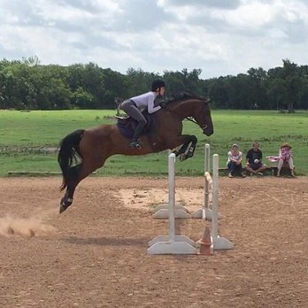 Idylwood Stables - Horseback Riding Near Me - Austin, Texas
