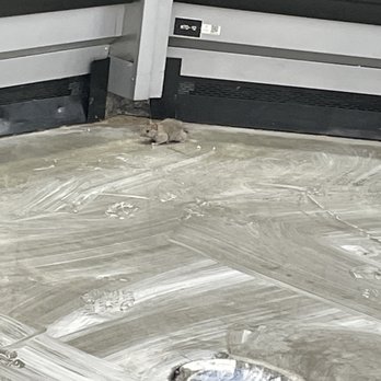 Walmart Supercenter - a water drain in the floor - Department Stores Near Me - Monroe, Georgia