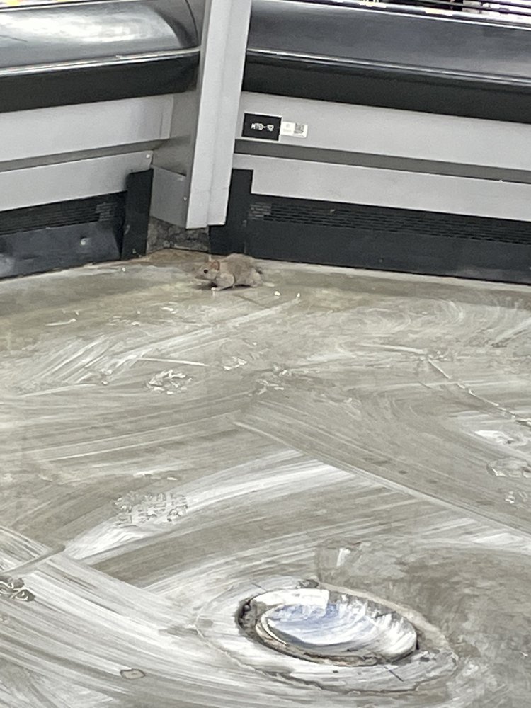 WALMART SUPERCENTER with photos Updated August 2024 17 Photos & 14